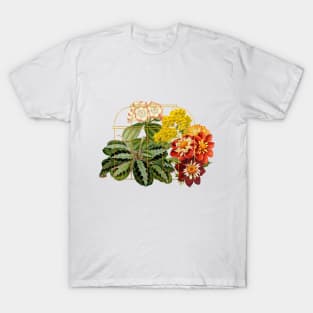 Houseplant mom T-Shirt